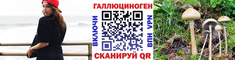 Галлюциногенные грибы GOLDEN TEACHER Карабаново